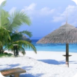 Logo of Beach Wallpapers for Chat android Application 